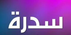 تعرف علي معني اسم سيدرا (Sedra)؛ وأبرز 10 من صفاته الشخصية 2026
