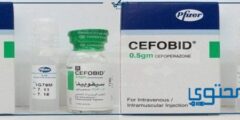 سيفوبيد (Cefobid) دواعي الاستخدام والجرعة المناسبة 2026