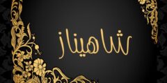 تعرف علي معنى اسم شاهيناز وصفات من تملكه 2026