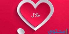 تعرف علي معنى اسم طلال وصفات من يحمله 2026