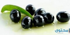 تعرف علي أفضل طريقة تخليل الزيتون الأسود 2026