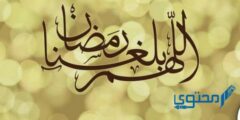 فضل العبادة في رمضان – موقع محتوى 2026
