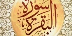 فضل قراءة سورة البقرة يوميا والاستغفار 2026