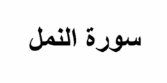 فضل قراءة سورة النمل – موقع محتوى 2026