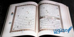قصة سيدنا يوسف عليه السلام للأطفال مكتوبة كاملة 2026