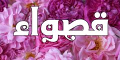 تعرف علي معنى اسم قصواء (Qaswaa) وصفاتها 2026