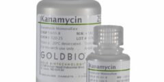 كاناميسين Kanamycin مضاد حيوي للقضاء على البكتيريا 2026