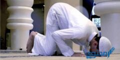 كم عدد ركعات صلاة التهجد في العشر الأواخر 2026