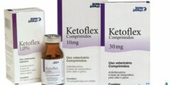 كيتوفليكس Ketoflex علاج الجهاز العضلي 2026
