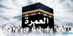 طريقة أداء العمرة بالكامل بالصور 2026