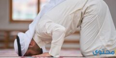 كيفية صلاة القيام في البيت وعدد ركعات صلاة القيام 2026