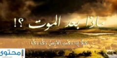 ماذا بعد الموت – موقع محتوى 2026