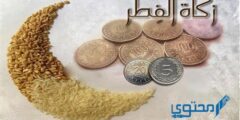 متى تكون زكاة الفطر واجبه 2026