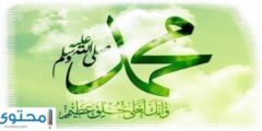 متى ولد الرسول – موقع محتوى 2026