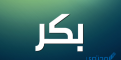 تعرف علي معنى اسم بكر وصفات حامل اسم (Bakr) 2026