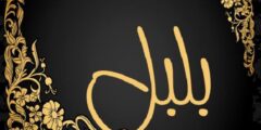 تعرف علي معنى اسم بلبل وصفات حامل اسم (Bulbul) 2026