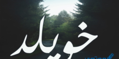 تعرف علي معنى اسم خويلد وصفات حامل اسم (Khwyld) 2026