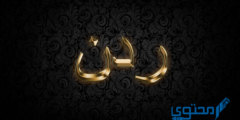 تعرف علي معنى اسم ردن وصفات حامل اسم (Rdn) 2026