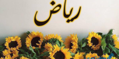 تعرف علي معنى اسم رياض وصفات حامل اسم (Riyad) 2026