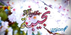 تعرف علي معنى اسم نجيبة وصفات حامل اسم (Najiba) 2026