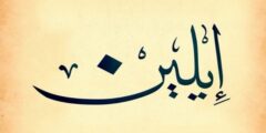 تعرف علي معني اسم ايلين (ELAINE) في اللغة العربية وأصله وصفات حامله 2026