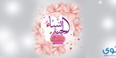 من هن نساء الجنة الأربعة ؟ 2026