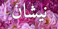 تعرف علي معنى اسم نيشان (Neshan) بالتفصيل 2026