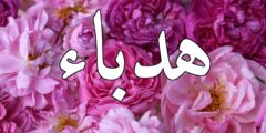 تعرف علي معنى اسم هدباء (Hdbaa) وصفاتها 2026
