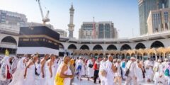 أسعار حملات الحج المجانية 1446 ورابط التسجيل 2026