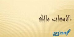 هو قول باللسان واعتقاد بالقلب وعمل بالجوارح 2026