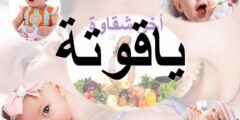 تعرف علي معنى اسم ياقوتة (Yaqwt’h) وصفاتها 2026