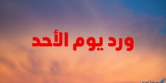 ورد يوم الاحد مكتوب بخط واضح 2026