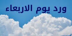 ورد يوم الأربعاء مكتوب – موقع محتوى 2026