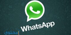طريقة تحديث الواتس اب القديم على الاندرويد والآيفون والويندوز 2026