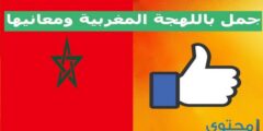 أشهر كلمات مغربية ومعانيها – موقع محتوى 2026