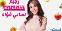 الرجيم السحري سالي فؤاد مكتوب 2025