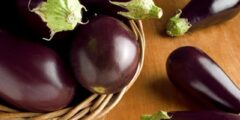 السعرات الحرارية في الباذنجان وقيمته الغذائية 2026