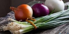 السعرات الحرارية في البصل وفوائده للصحة 2026