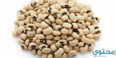 السعرات الحرارية في اللوبيا ذات العين السوداء 2026