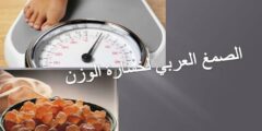 فوائد الصمغ العربي للتخسيس – موقع محتوى 2026