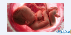تجاربكم مع تأخر نمو الجنين 2026