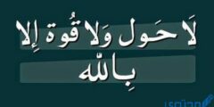 تجربتي مع الحوقلة – موقع محتوى 2026