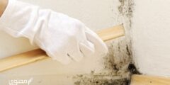 تجربتي مع رطوبة الجدران وطرق التخلص منها 2026