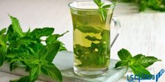 تجربتي مع شرب النعناع يوميا 2026