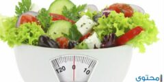 نظام رجيم اللقيمات لخسارة الوزن دون حرمان 2026
