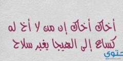 عبارات عن أهمية الأخ ودور الأخوة في حياتنا 2026