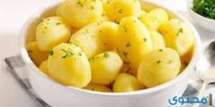مدة هضم البطاطس المسلوقة في المعدة 2026