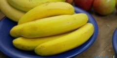 مدة هضم الموز في الجسم 2026