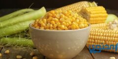 هل الذرة مسموح في الكيتو ؟ وما هي فوائد الذرة 2025