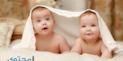 وضعيات تساعد على الحمل بتوأم 2026